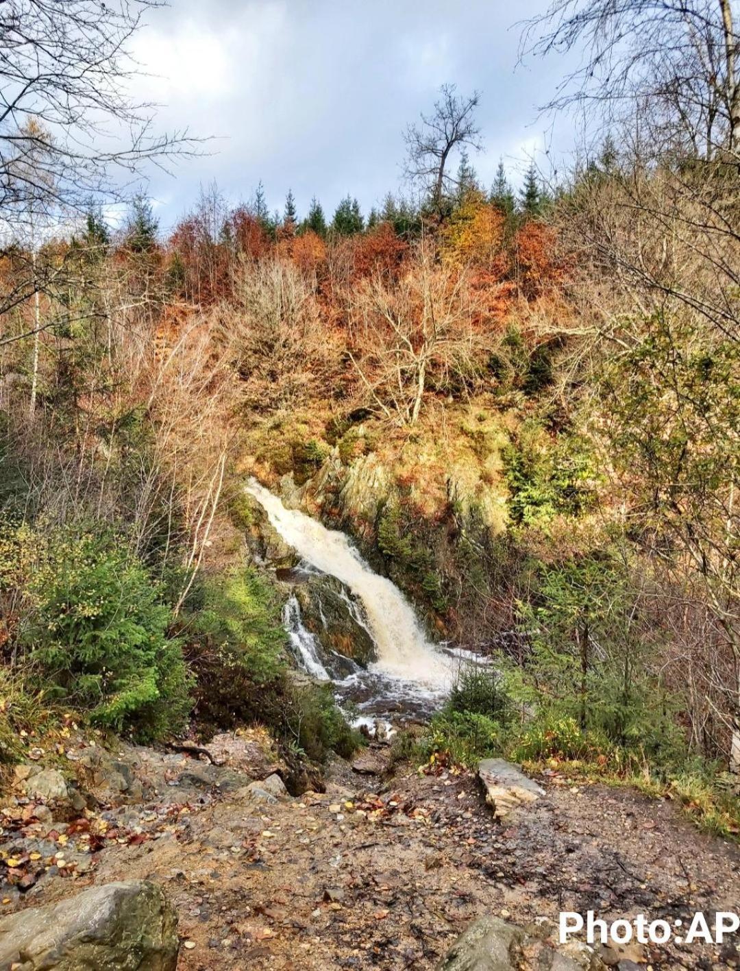 La Taniere Du Lac روبرتفيل المظهر الخارجي الصورة